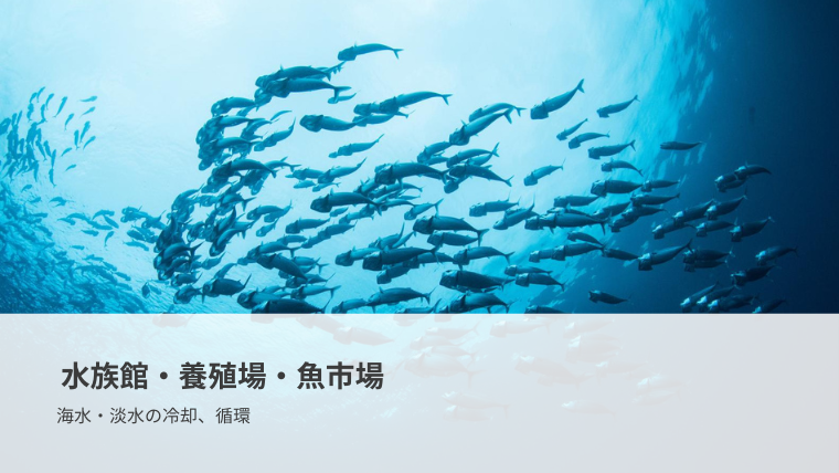 水族館・養殖場・魚市場といった海水・淡水の冷却と循環
